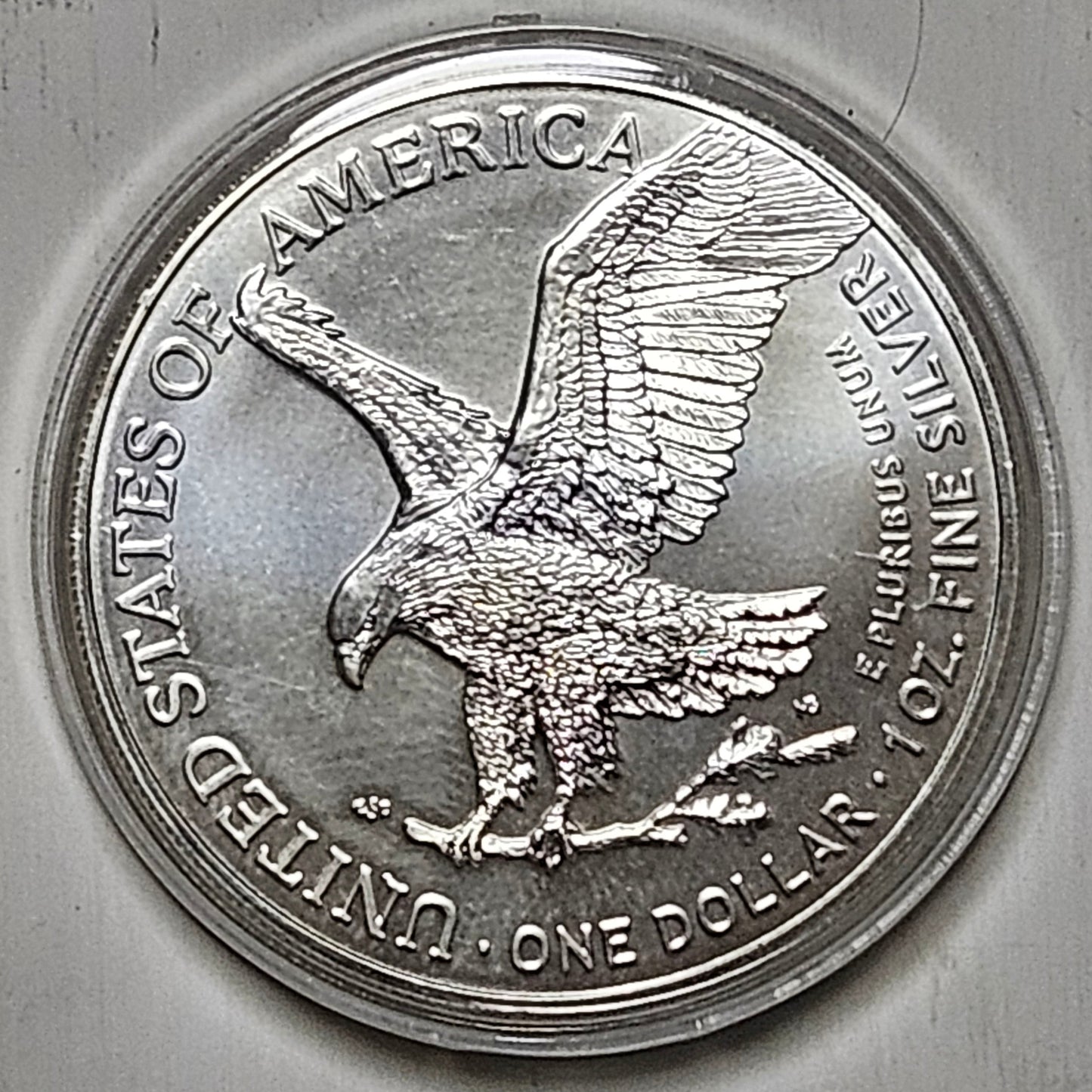 2022-W Burnished American Silver Eagle 1 oz .999 Fine Silver