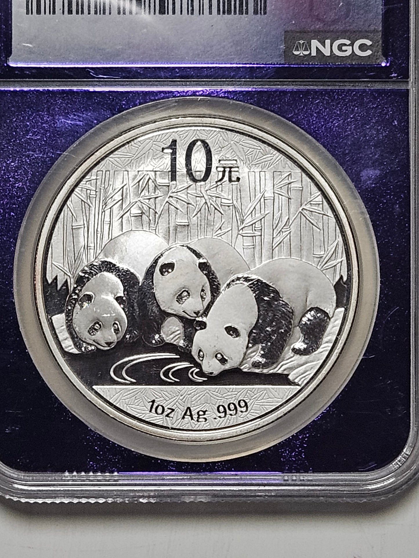 2013 Chinese Silver Panda S10Y - 1 oz Pure Silver - NGC MS 69 Certified